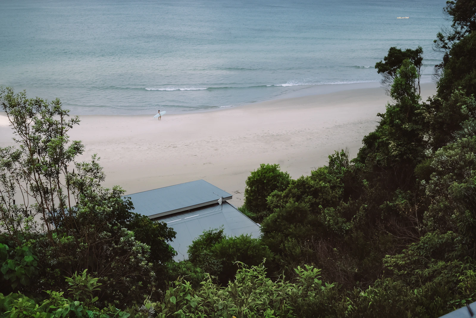 Coastal beach seen through trees