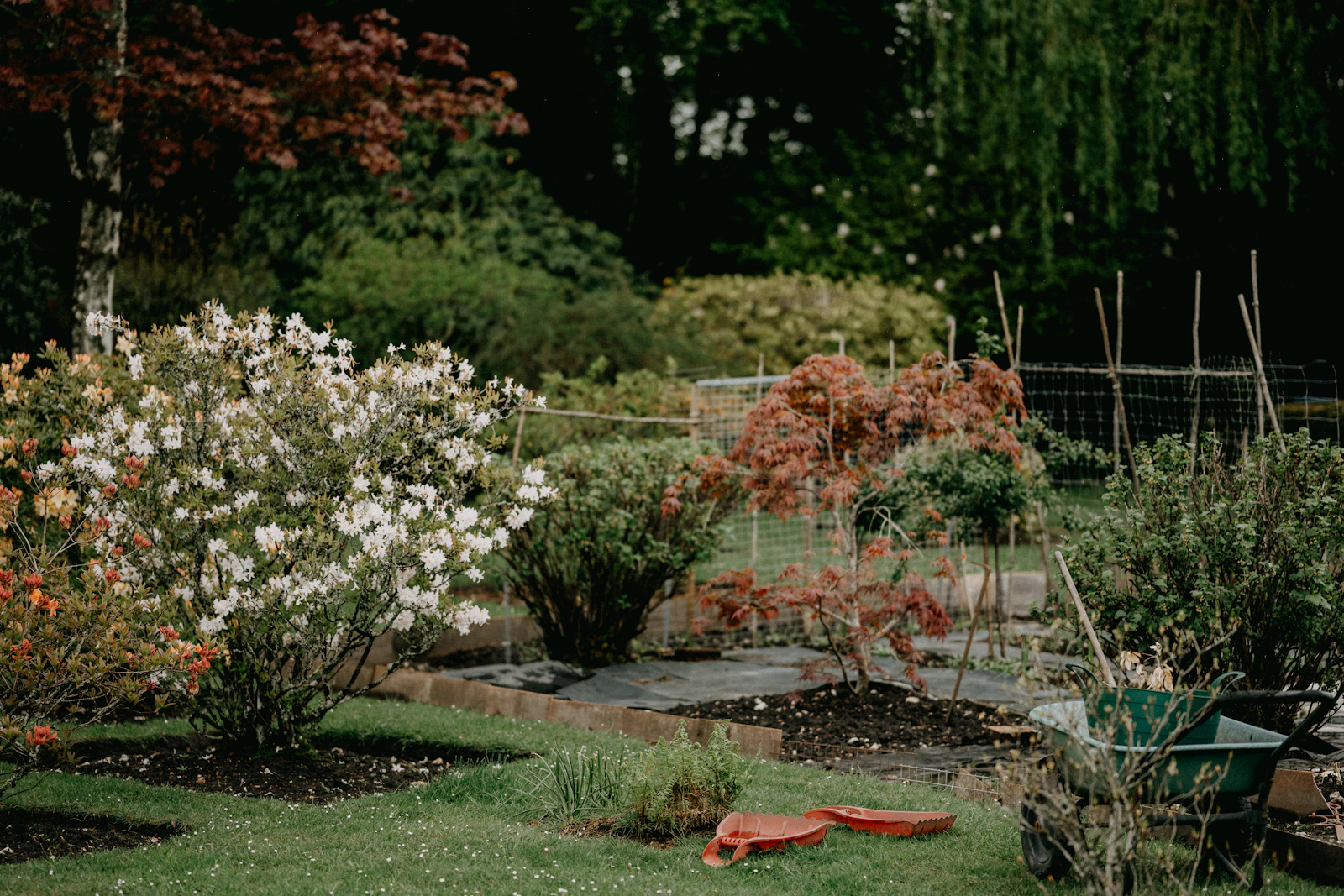 Garden with flowers and climbing plants