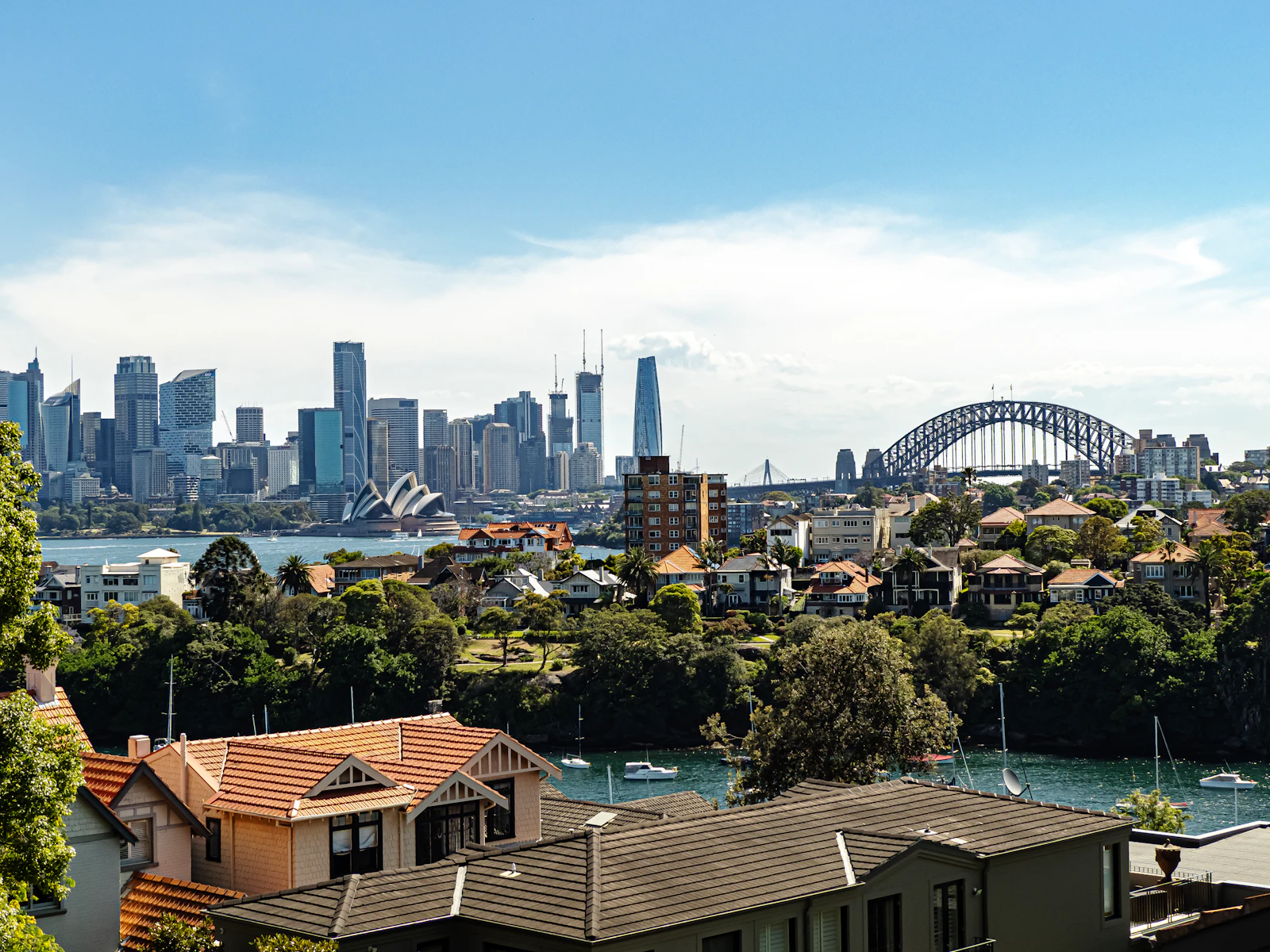 Sydney skyline and Harbour Bridge above houses